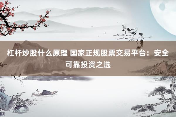 杠杆炒股什么原理 国家正规股票交易平台：安全可靠投资之选