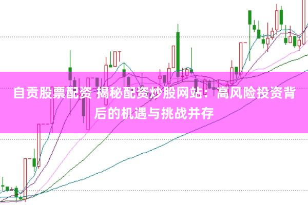 自贡股票配资 揭秘配资炒股网站：高风险投资背后的机遇与挑战并存