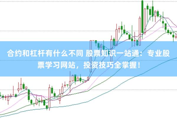 合约和杠杆有什么不同 股票知识一站通：专业股票学习网站，投资技巧全掌握！