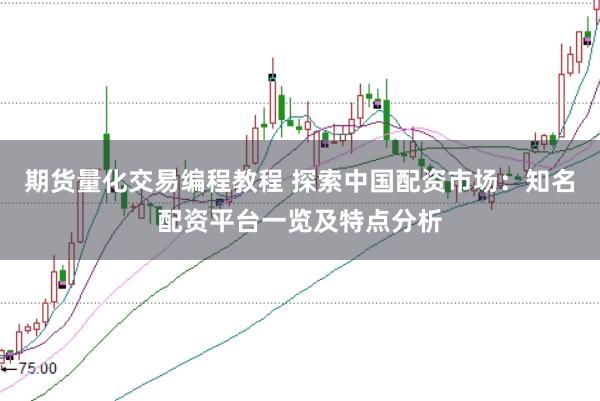 期货量化交易编程教程 探索中国配资市场：知名配资平台一览及特点分析