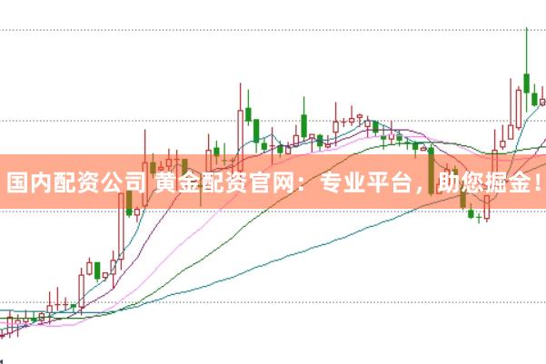 国内配资公司 黄金配资官网：专业平台，助您掘金！