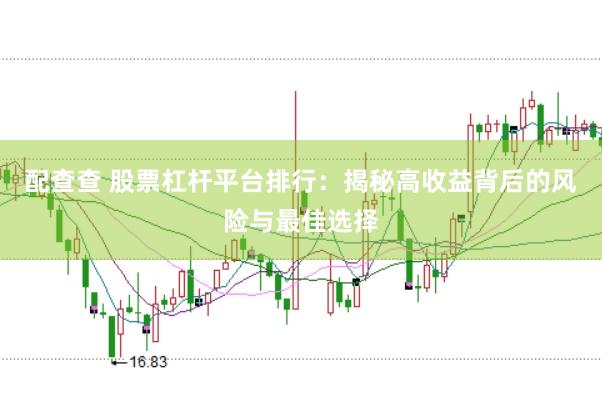 配查查 股票杠杆平台排行：揭秘高收益背后的风险与最佳选择