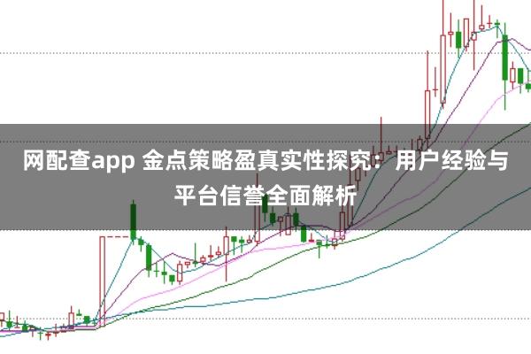网配查app 金点策略盈真实性探究：用户经验与平台信誉全面解析