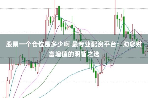 股票一个仓位是多少啊 最专业配资平台：助您财富增值的明智之选