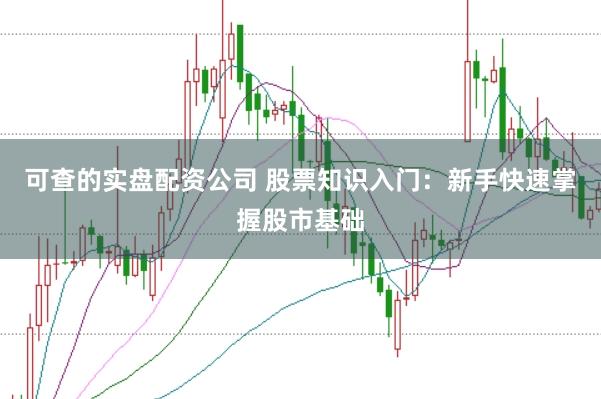 可查的实盘配资公司 股票知识入门：新手快速掌握股市基础