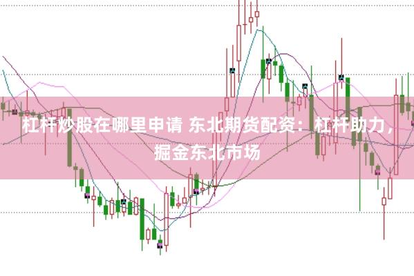杠杆炒股在哪里申请 东北期货配资：杠杆助力，掘金东北市场