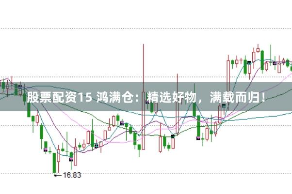 股票配资15 鸿满仓：精选好物，满载而归！