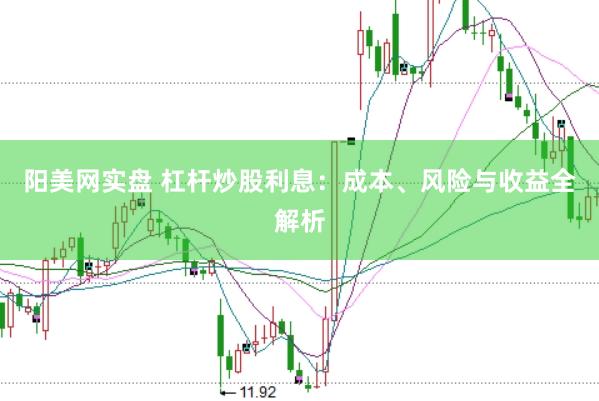 阳美网实盘 杠杆炒股利息：成本、风险与收益全解析