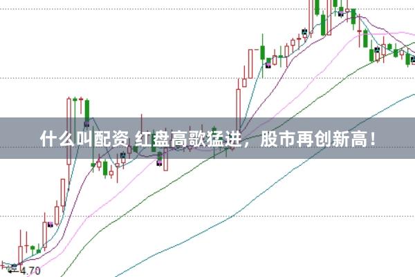 什么叫配资 红盘高歌猛进，股市再创新高！