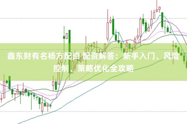 鑫东财有名杨方配资 配资解答：新手入门、风险控制、策略优化全攻略