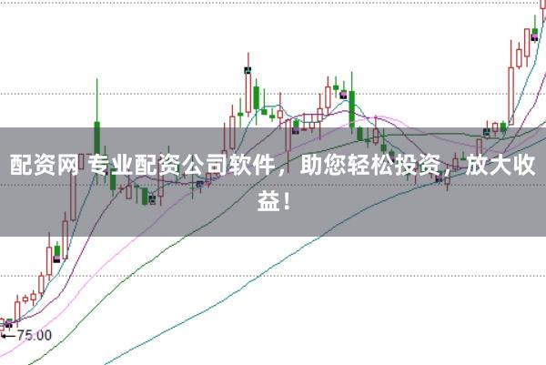 配资网 专业配资公司软件，助您轻松投资，放大收益！