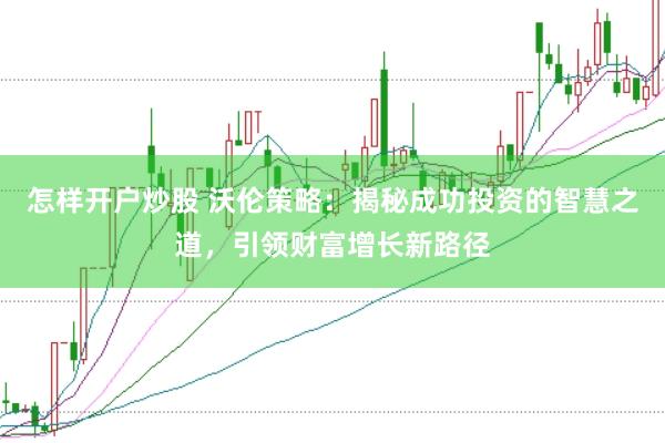 怎样开户炒股 沃伦策略：揭秘成功投资的智慧之道，引领财富增长新路径