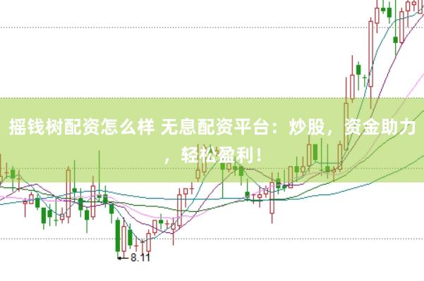 摇钱树配资怎么样 无息配资平台：炒股，资金助力，轻松盈利！