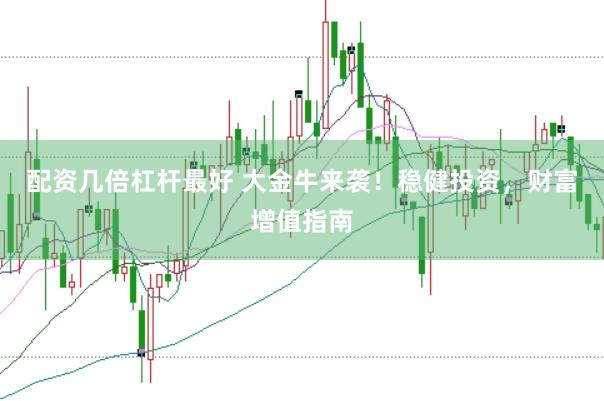 配资几倍杠杆最好 大金牛来袭！稳健投资，财富增值指南