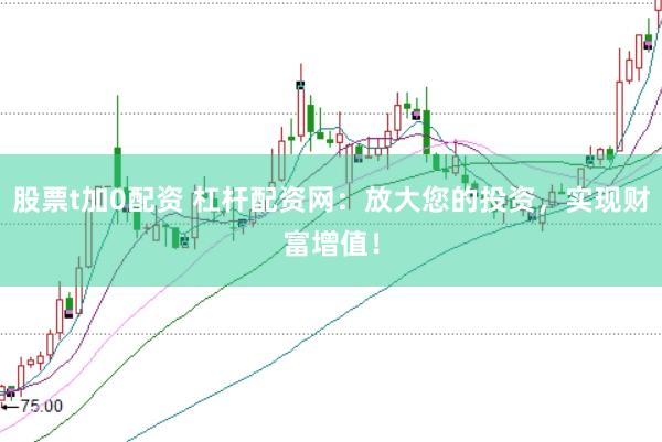 股票t加0配资 杠杆配资网：放大您的投资，实现财富增值！