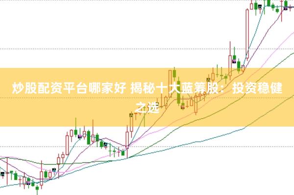 炒股配资平台哪家好 揭秘十大蓝筹股：投资稳健之选