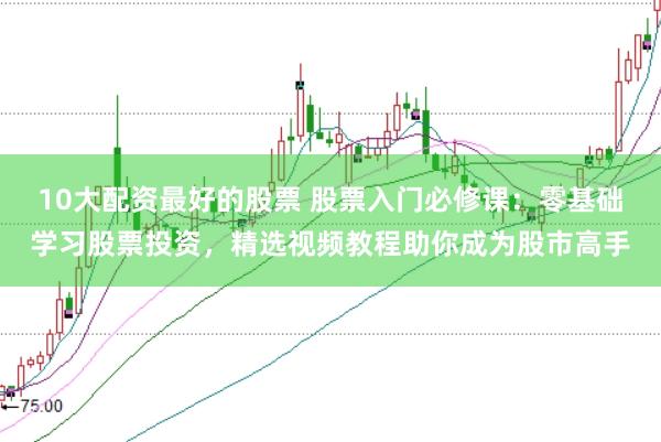 10大配资最好的股票 股票入门必修课：零基础学习股票投资，精选视频教程助你成为股市高手
