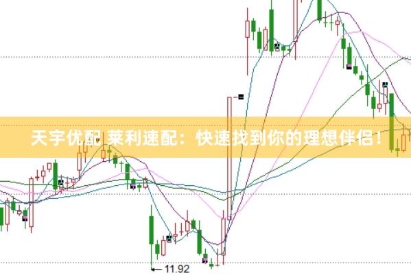 天宇优配 莱利速配：快速找到你的理想伴侣！