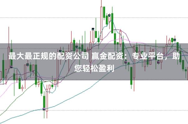 最大最正规的配资公司 赢金配资:专业平台,助您轻松盈利
