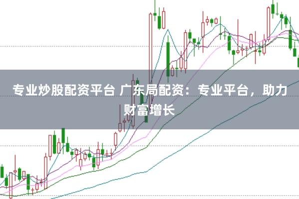 专业炒股配资平台 广东局配资：专业平台，助力财富增长