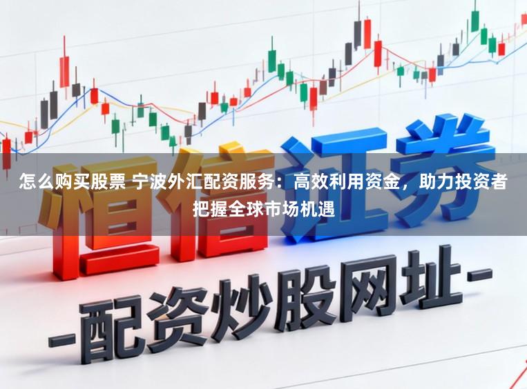 怎么购买股票 宁波外汇配资服务:高效利用资金,助力投资者把握全球市场机遇