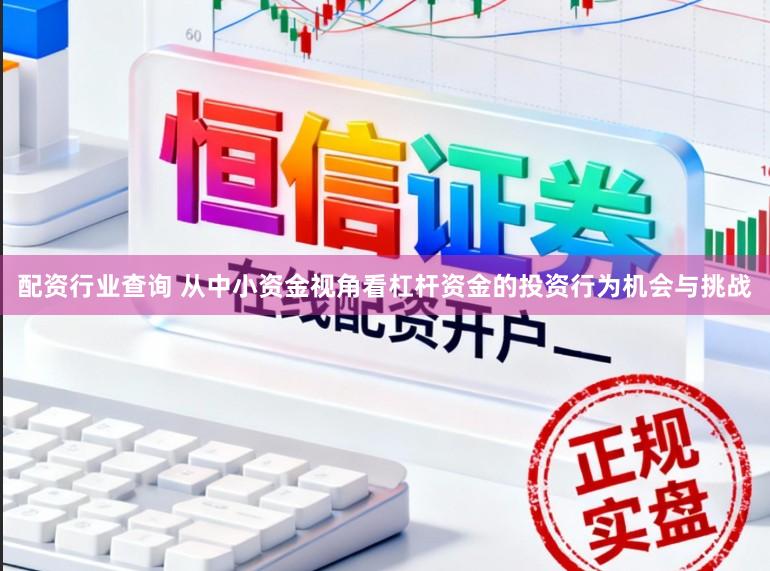配资行业查询 从中小资金视角看杠杆资金的投资行为机会与挑战