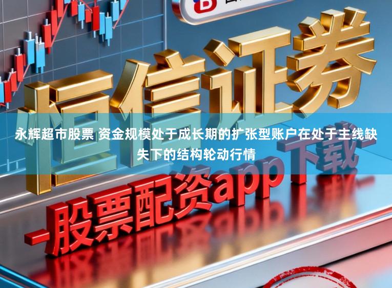 永辉超市股票 资金规模处于成长期的扩张型账户在处于主线缺失下的结构轮动行情