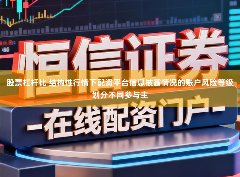 股票杠杆比 结构性行情下配资平台信息披露情况的账户风险等级划分不同参与主