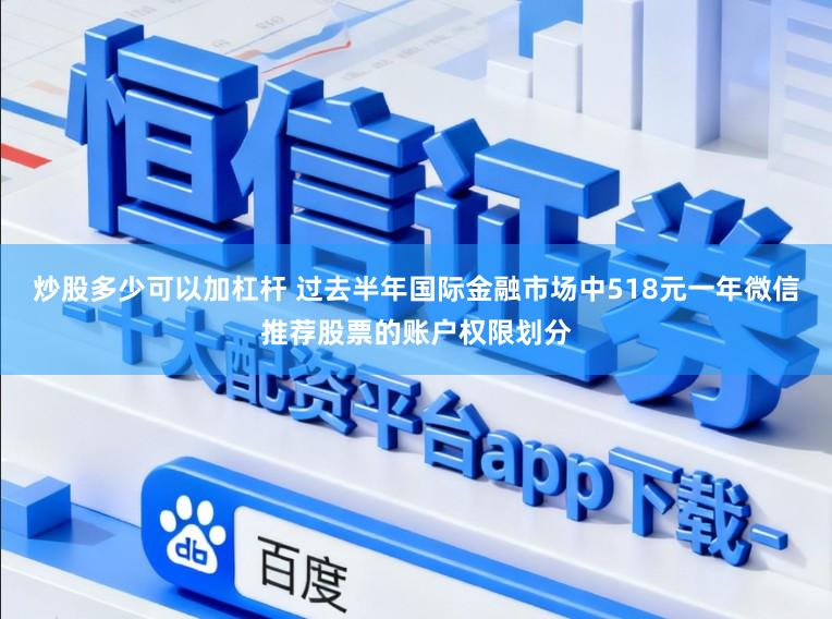 炒股多少可以加杠杆 过去半年国际金融市场中518元一年微信推荐股票的账户权限划分