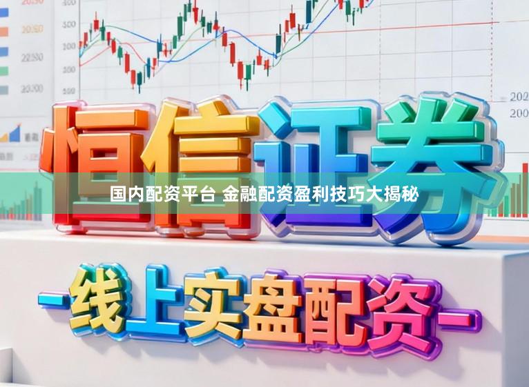 国内配资平台 金融配资盈利技巧大揭秘