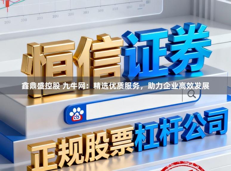 鑫鼎盛控股　 九牛网：精选优质服务，助力企业高效发展